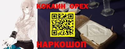 стаф Гатчина