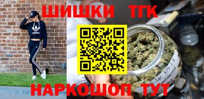стаф Гатчина