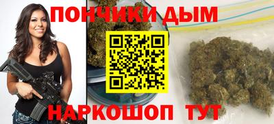 стаф Гатчина