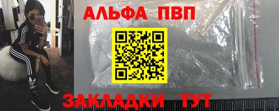 стаф Гатчина
