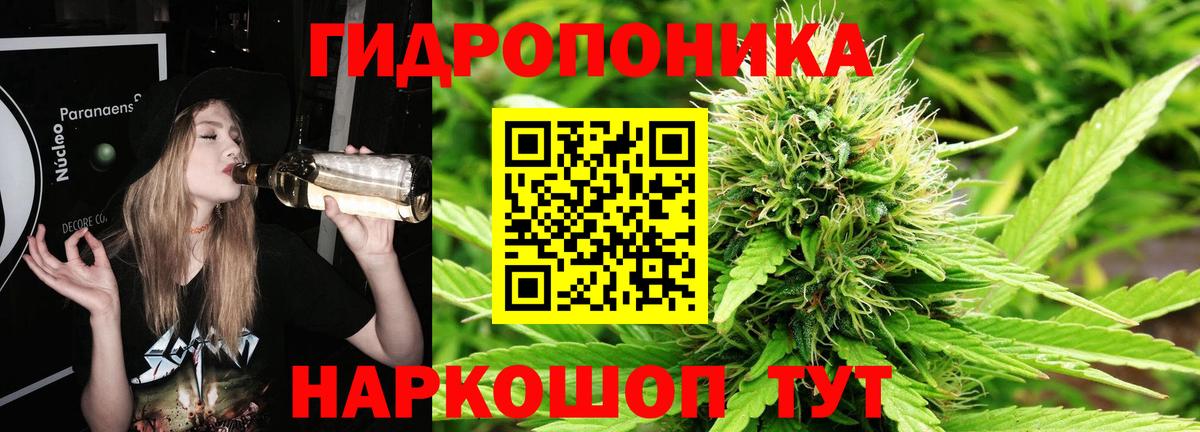 Каннабис сатива Гусев